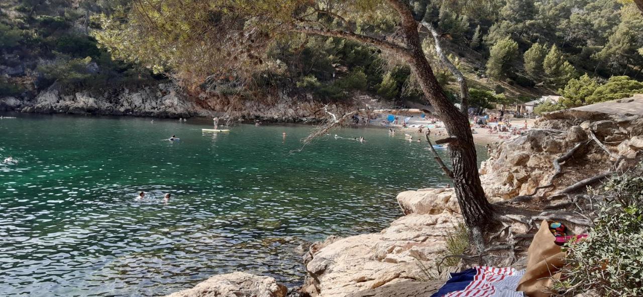 Petit Coin De Paradis Au Soleil Pres De La Mer Saint-Cyr-sur-Mer Kültér fotó